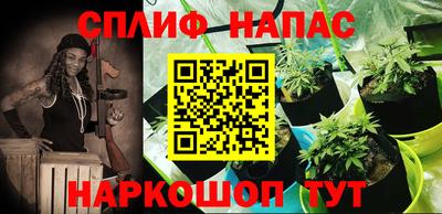 гидра Гатчина