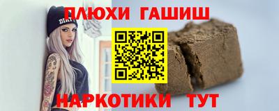 гидра Гатчина