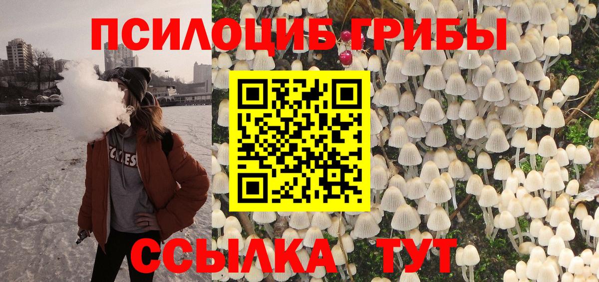 Псилоцибиновые грибы Psilocybe Мыски