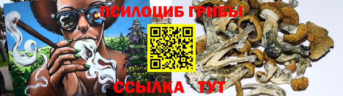 Псилоцибиновые грибы прущие грибы  Вход с VPN  Мыски 